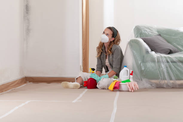 Reliable Black Mold Removal contractor in Garrett, WA by WQB Mold Removal