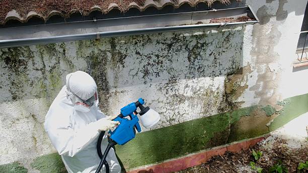 Top rated local Black Mold Removal specialists in Garrett, WA